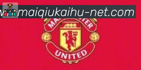 买球开户合作伙伴